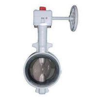 球墨铸铁DJ型蝶阀