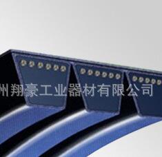 专业为特殊设备研制的联组三角带 满足其产品大功率传动