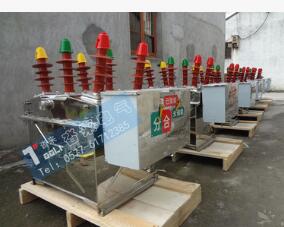 铁壳 电动 户外高压真空断路器 ZW8-12/630-20