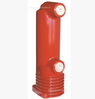 EP-12/1250-25真空灭弧室固封极柱（VSM用）