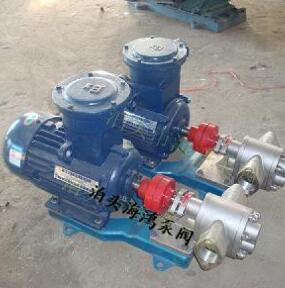 供应海鸿牌整体304材质耐腐蚀KCB不锈钢齿轮油泵