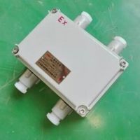 增安型小型防爆接线箱BJX 200*135*90 厂家直销 加TB端子