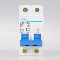 批发上海人民 DZ47-63 2P空开 微型 断路器空气开关 漏电保护器