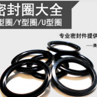 厂家直销 ush 橡胶密封圈 耐高压 耐高温 耐磨损 y型圈mya o型圈