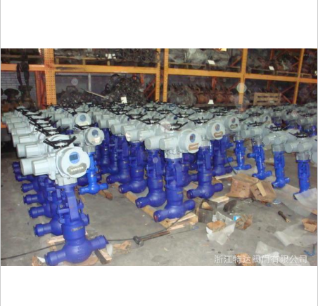 高温高压电站闸阀class900~2500
