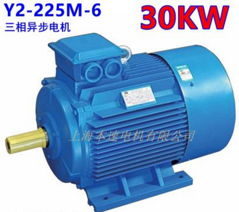 供应Y2系列三相异步电动机Y2-225M-6 30KW 6极 上海本速品牌电机