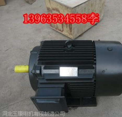 泊头玉康Y2-132s-355L2-8机械三相异步