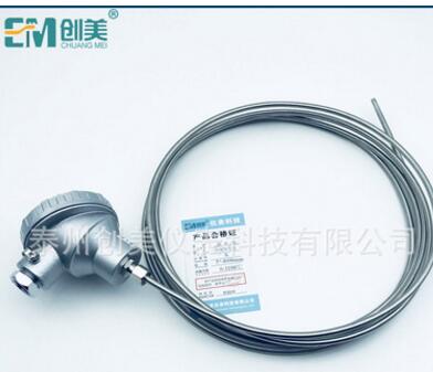 专业制造 铠装双支热电阻 铂电阻 活动卡套 WZPK2-335传感器
