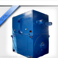 YPT系列低压大功率变频调速三相异步电动机