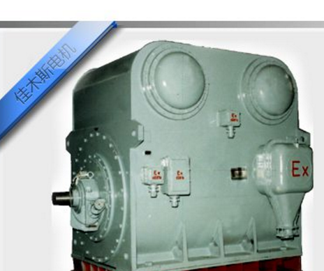 YBKS系列高压隔爆三相异步电动机