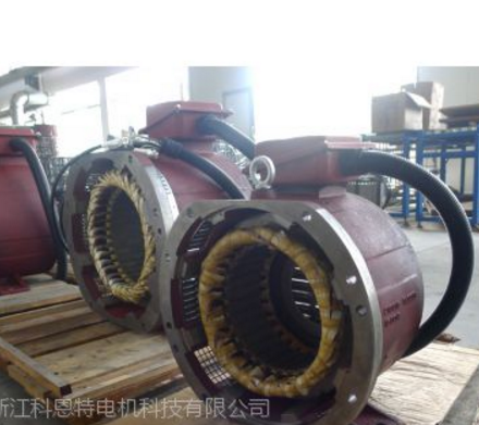 供应浙江科恩特电机 永磁无刷马达