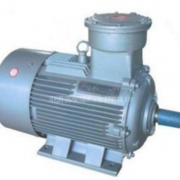 供应YB2-H系列船用隔爆型三相异步电动机