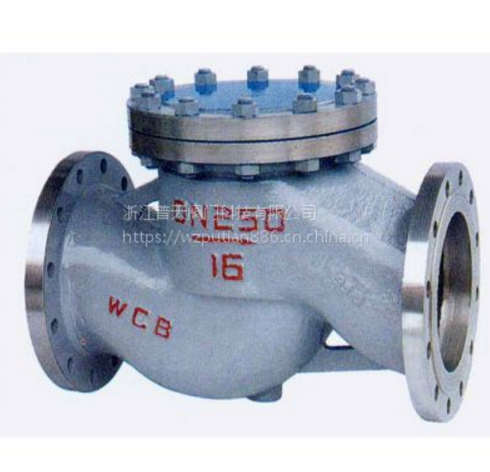 浙江普天旋启式止回阀H44H-16C DN100