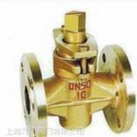 黄铜二通旋塞阀