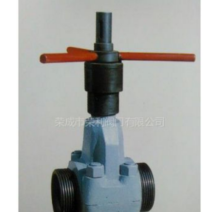 供应荣成市荣利阀门有限公司泥浆阀