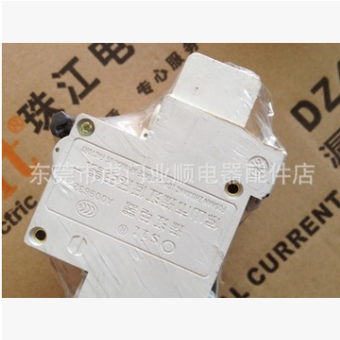 珠江电气断路器白色漏电开关保护器40A工厂漏电保护DZ47LE-63/2P