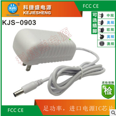 厂家供应恒流恒压白色插墙式24V 1.3A电源适配器 LED 仪器专用电