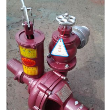 供应东阿县龙泉水泵厂天龙泉牌80BP-55喷灌泵