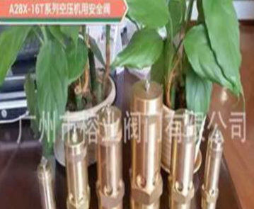 冷冻机安全阀SFA-22C300T3/8(开启压力3.2MPa)A27W-16T、A28W-16T