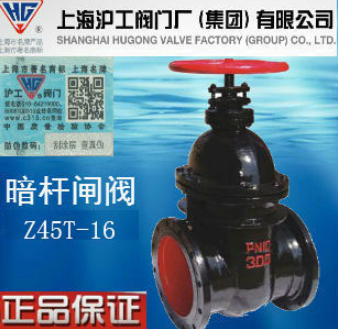 上海沪工阀门厂Z41T/Z45T/Z44T 铁制明杆/暗杆闸阀 国标重体