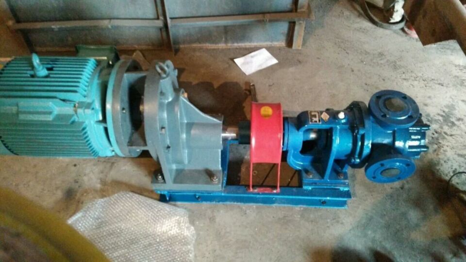 NYP保温高粘度转子泵技术/泊头市猛通泵业