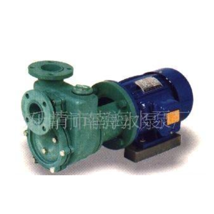 供应塑料自吸泵,耐碱泵,海水泵,塑料泵,塑料化工泵 提升泵(图)