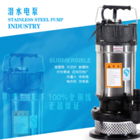大明不锈钢QDX潜水电泵 防腐蚀潜水泵 园林抽水机 农用灌溉清水泵