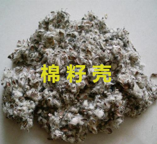 青岛棉籽壳进口报关代理公司|鑫润丰物流