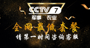 央视广告代理公司哪家好/金华汇赢网络科技