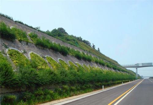 山东边坡绿化无纺布厂家哪家好|聚福源包装