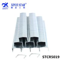 厂家直销STCR5019钉子 码钉，枪钉，门型钉，U型钉
