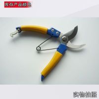 厂家直销果枝剪园林剪刀花艺剪刀进口POM剪园艺五金工具树枝剪