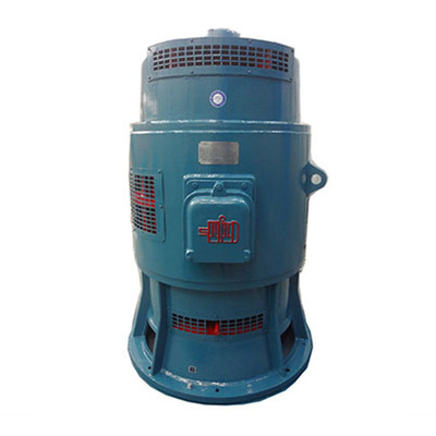 YSL12-10-80KW 轴流泵专用立式三相异步电动机厂家直销