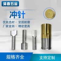 【冲头】生产高硬度紧密模具配件冲头批发轴向型钨钢非标冲头定做