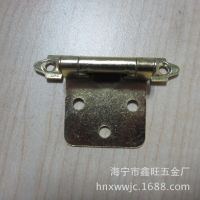 厂家供应优质 弹簧铰链 家具铰链 美式铰链 自关铰链