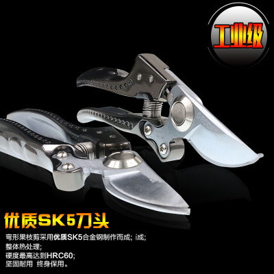 采果剪 摘果 稀果剪 疏花葡萄采摘剪刀 园艺修枝剪 优质园林工具