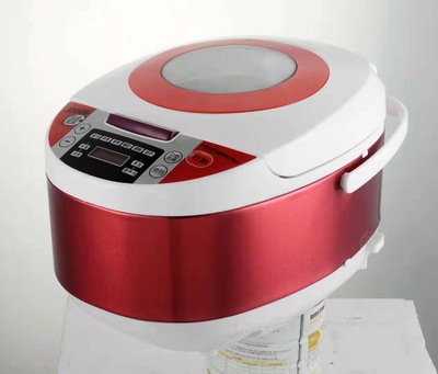 金纳斯 天窗款 5L 电饭煲 会销礼品 送礼 小家电电饭锅 厂家直销