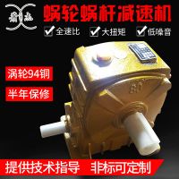 WPA/S/O/X 40-250系列蜗轮减速机 小型蜗轮齿轮减速机 变速机