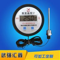 生产销售 带探头高精度数显温度计 LED防水电子数显温度计10米