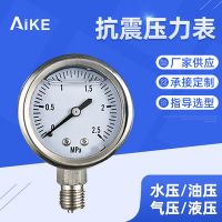 压力表不锈钢 YBN-100抗震压力仪表 2.5Mpa压力表 充油压力表