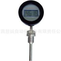 隔爆就地数字温度显示仪，防爆就地数字温度表