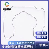 厂家供应异形弹簧 不锈钢汽车诱导丝弹簧 线成型异形弹簧加工定制