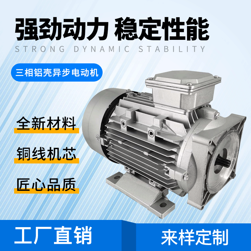 三相380V液压单元动力电动机货梯升降机传菜机折弯机举升机油压机