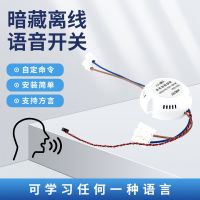 AI离线智能语音开关 声控灯光家居改装客厅带吸顶灯无线控制器