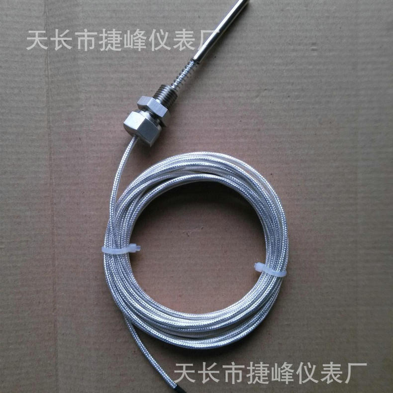 长期供应双支端面热电阻 耐油端面热电阻 WZPM-201端面热电阻