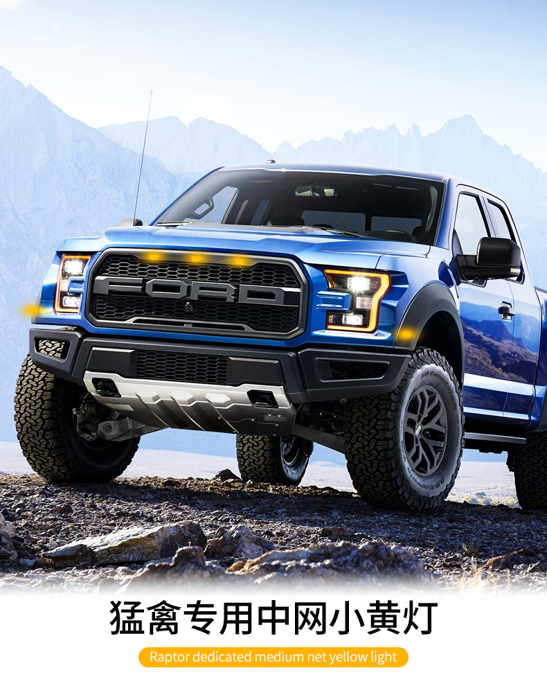 猛禽中网小黄灯详情_01.jpg