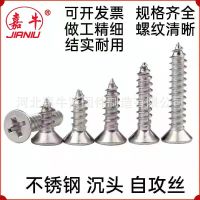 不锈钢201 304十字沉头自攻丝 不锈钢自攻螺丝 平头自攻丝 GB846