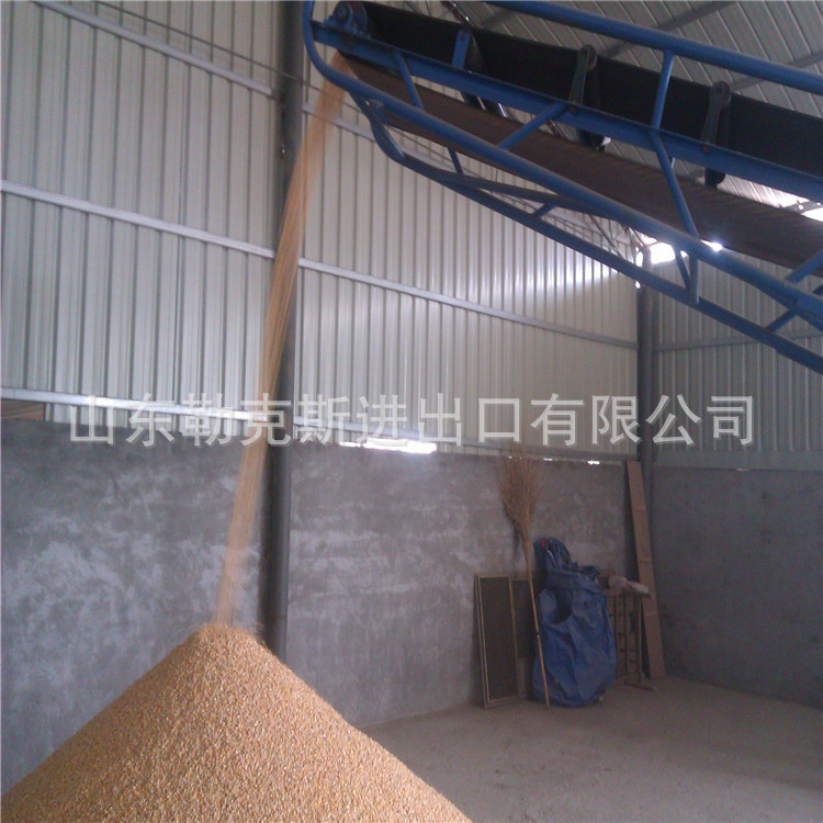 d82b25463ed15a4c26acc48ccd518c