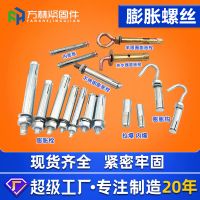 膨胀螺丝厂家直销内膨胀螺丝膨胀钩现货批发镀锌拉爆螺丝膨胀螺栓