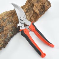 不锈钢修枝剪刀弯头花园剪刀摘果剪绿化园林工具剪盆景树